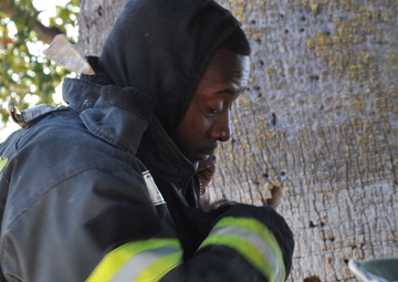 Travis, Beale participate in live fire training exercise