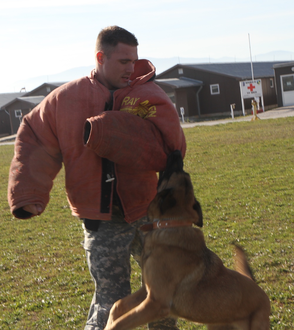 New K-9 team is introduced to Multinational Battle Group-East