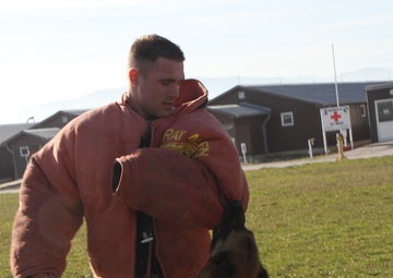 New K-9 team is introduced to Multinational Battle Group-East