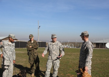 New K-9 team is introduced to Multinational Battle Group-East