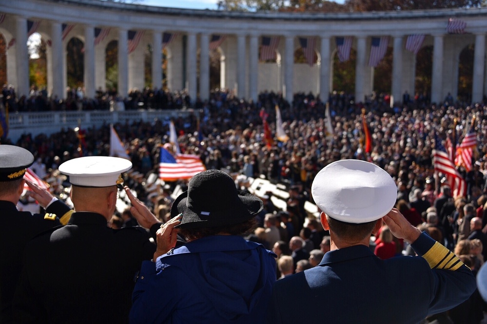 Veterans Day at Arlington