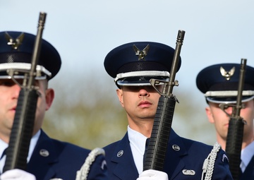 Fallen leaves: A story of remembrance