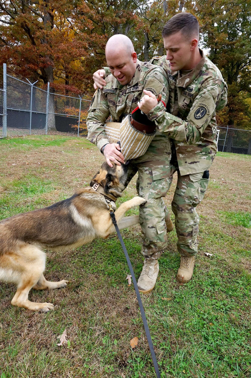 Man’s best friend, crime’s worst enemy