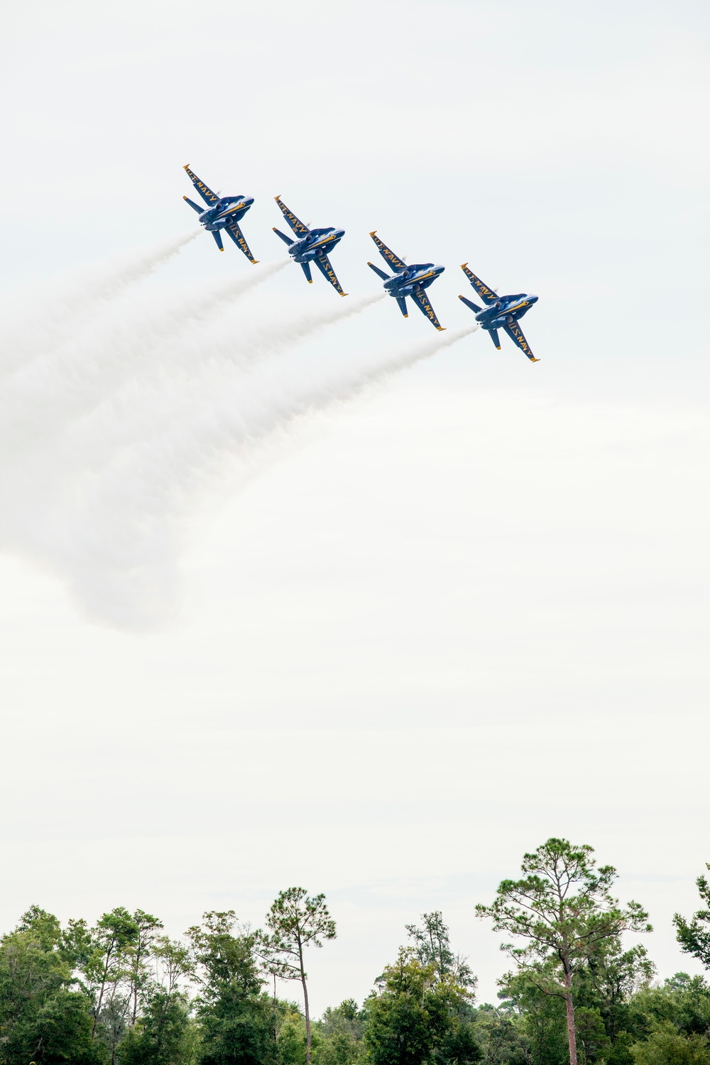 Blue Angels homecoming