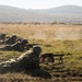 US, NATO Allies complete training in Bulgaria