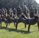 8th Comm Battalion gathers for field meet