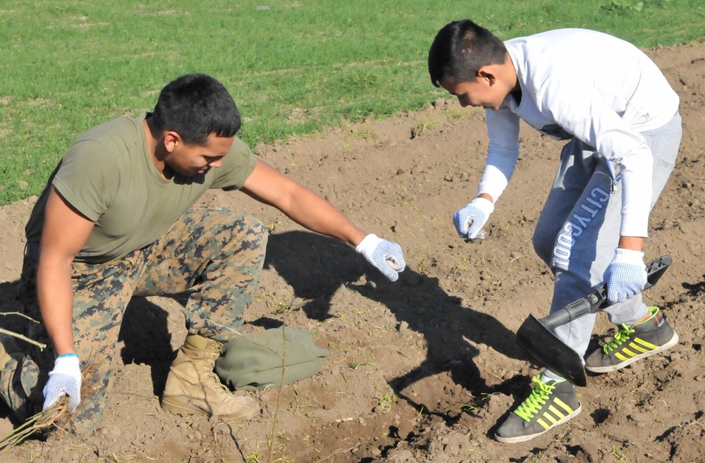 Marines Volunteer Planting Trees in Romania