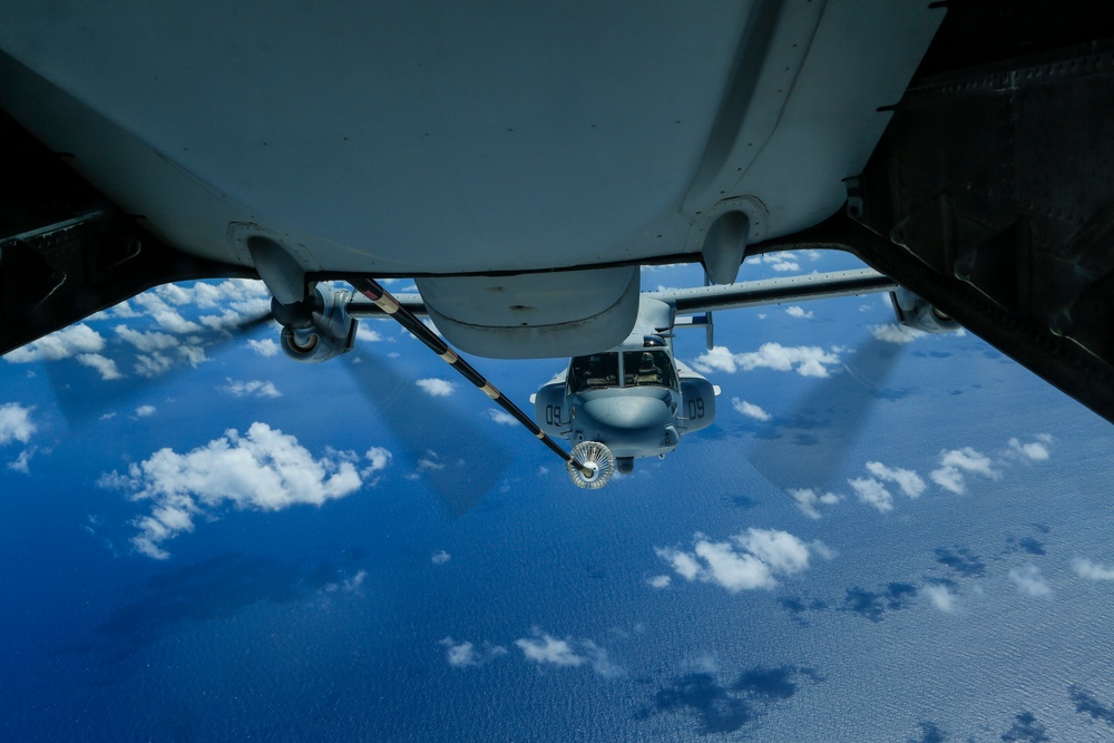 Ospreys return from Malaysia