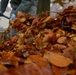 'Leaf'ing Ramstein a cleaner place