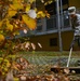 'Leaf'ing Ramstein a cleaner place
