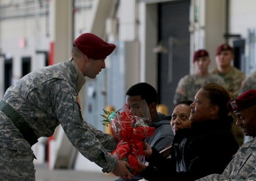 A presentation of red roses