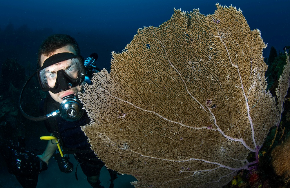 ECC underwater photo training