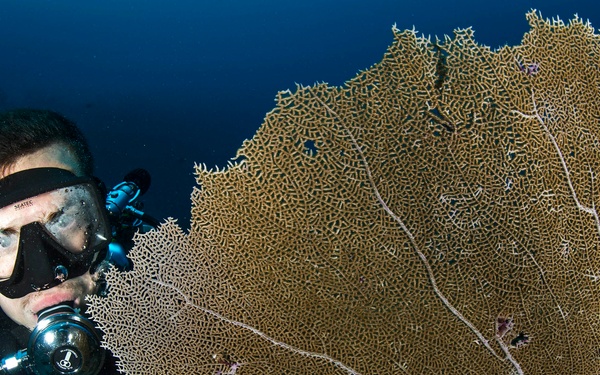 ECC underwater photo training