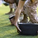5th Marine Expeditionary Brigade Combat Fitness Test