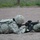 M16A2 Rifle Marksmanship Training