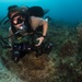 ECC underwater photo training