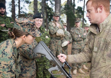 Southern Katipo 2015 Individual Weapon (IW) Steyr Assault Rifle Training