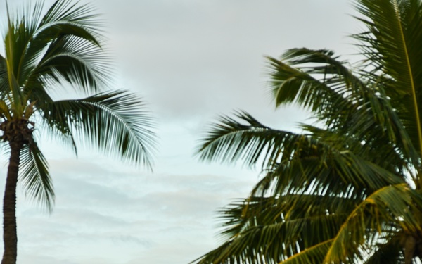 Pearl Harbor Colors, Honors and Heritage Ceremony
