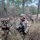 Combined Arms Live-Fire Exercise
