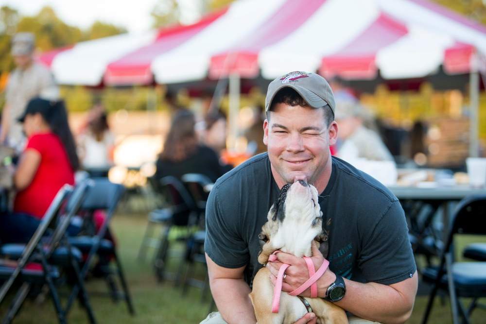 SOI-E Fall Festival