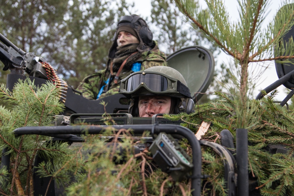 Exercise Iron Sword ends in Lithuania