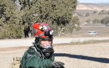 Operation Dark Horse