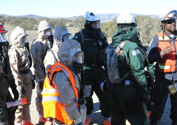 Operation Dark Horse