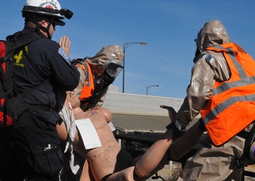 Operation Dark Horse