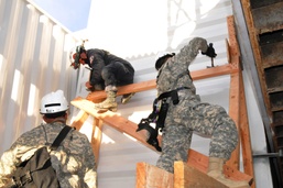 Operation Dark Horse