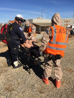 Operation Dark Horse