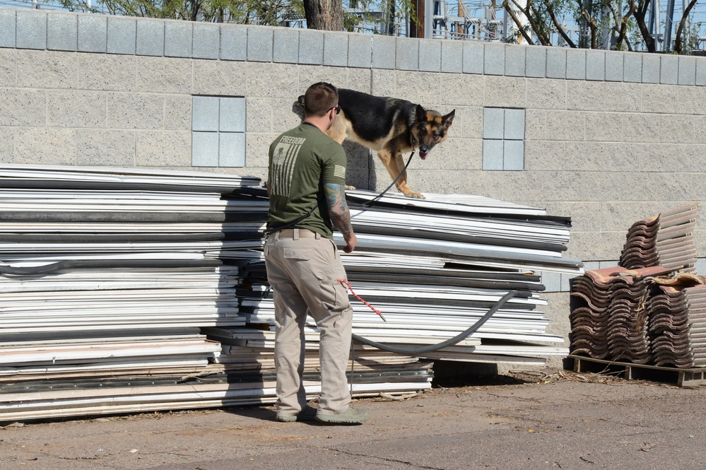Luke military working dogs