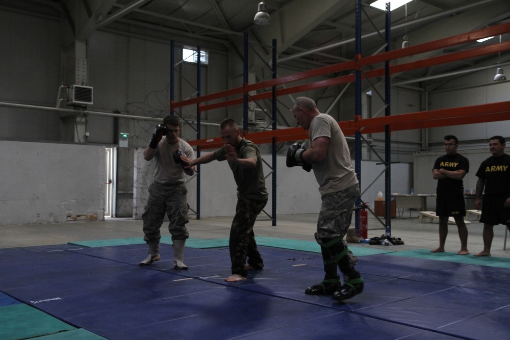 Hungarian and US Soldiers in Kosovo partner up for combatives training