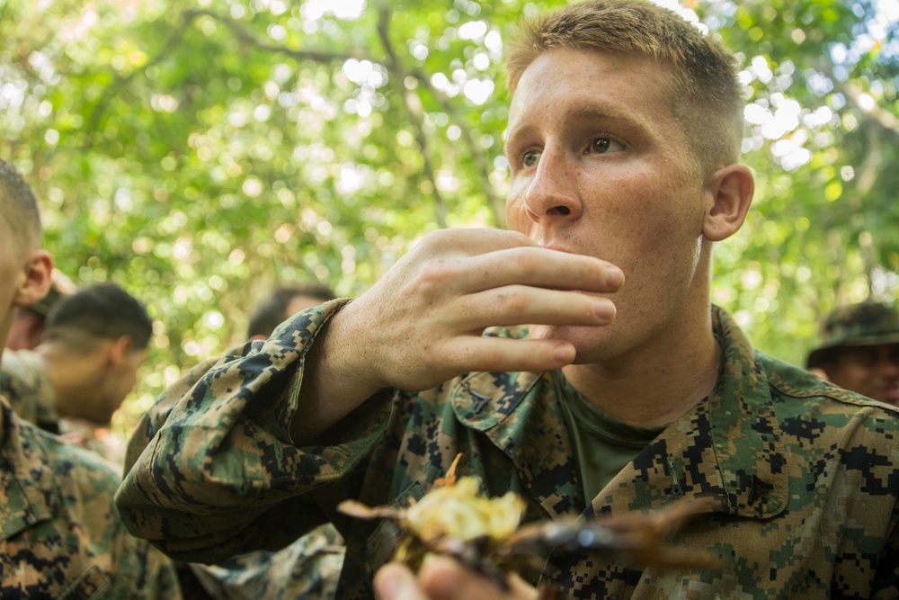 U.S. Marines Vs. Wild: MALUS AMPHEX 15 teaches jungle survival