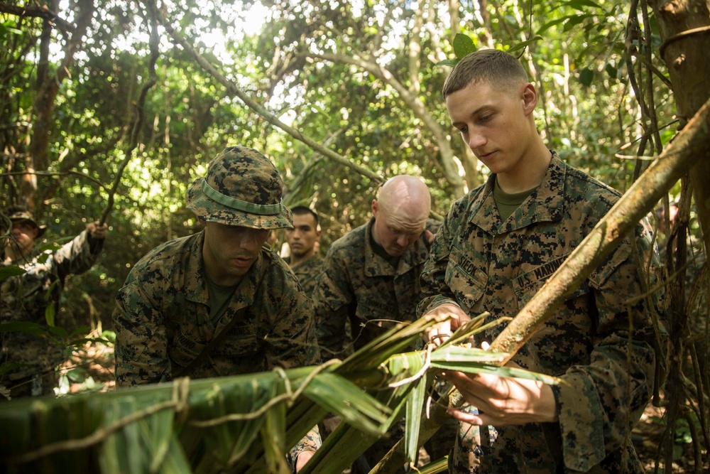 U.S. Marines Vs. Wild: MALUS AMPHEX 15 teaches jungle survival
