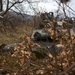 US, Bulgaria begin Peace Sentinel