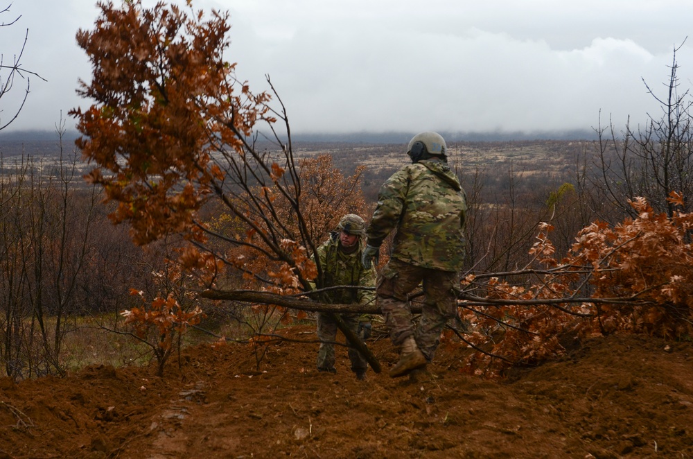 US, Bulgaria begin Peace Sentinel