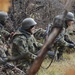US, Bulgaria begin Peace Sentinel