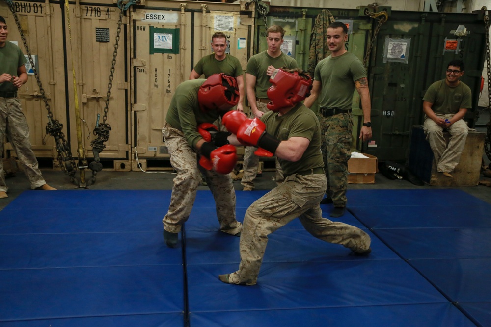 U.S. Marines practice martial arts