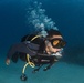 Reef survey dive