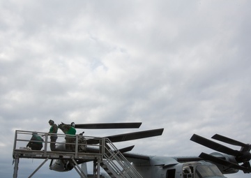 Osprey maintenance on the Ocean