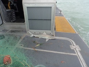 Coast Guard seizes 4 miles of illegal gill net off South Padre Island, Texas
