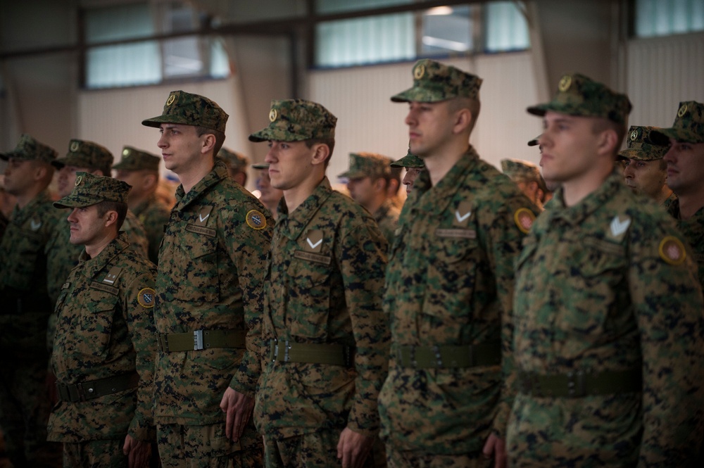 Armed Forces BiH celebrate 10-year anniversary