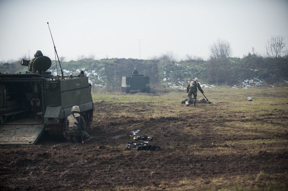 Armed Forces BiH celebrate 10-year anniversary