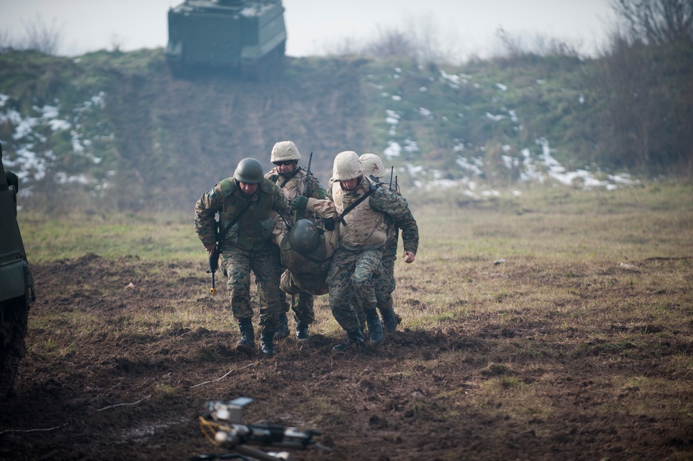 Armed Forces BiH celebrate 10-year anniversary