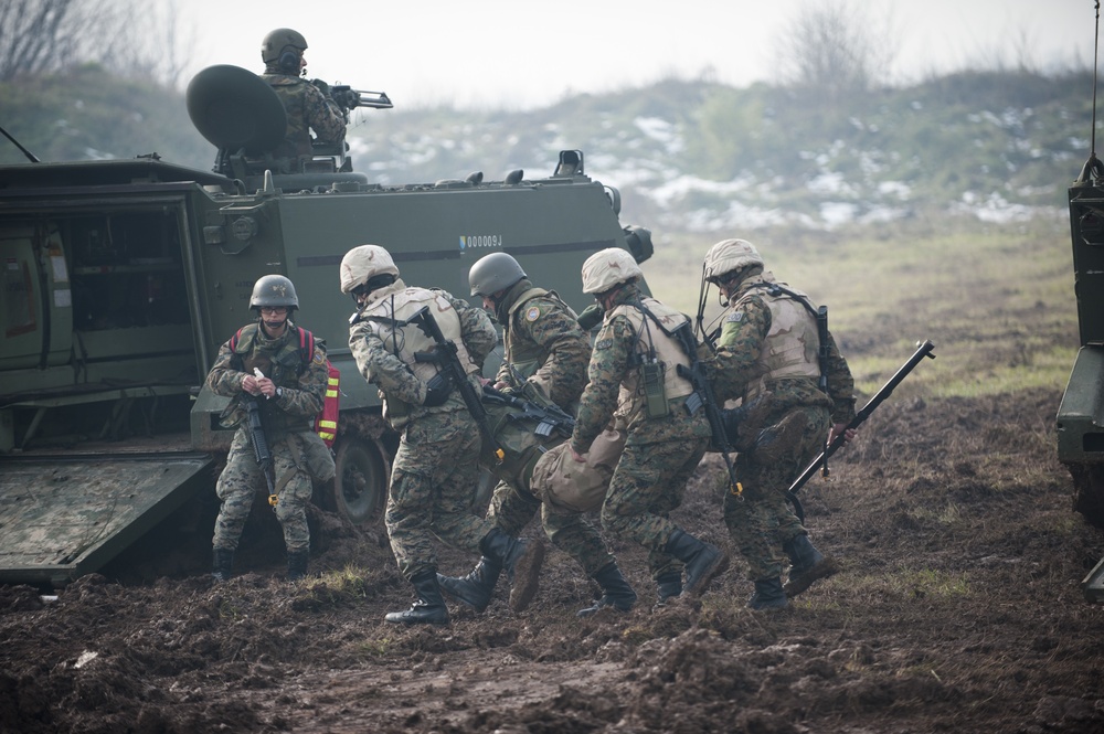 Armed Forces BiH celebrate 10-year anniversary