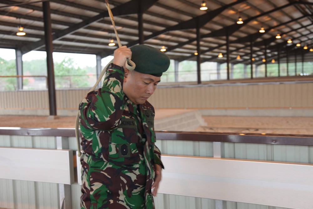 Operation Toy Drop 2015