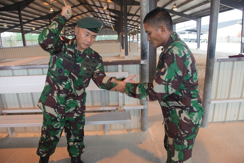 Operation Toy Drop 2015