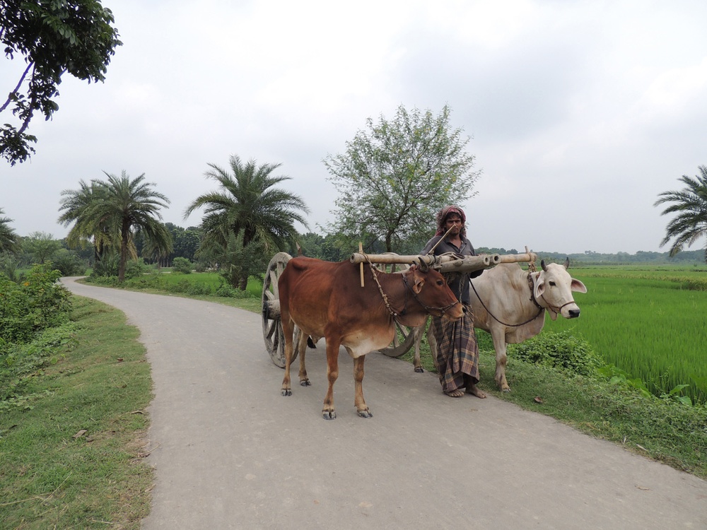 New roads serving agriculture in Bangladesh