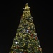 Aviano lights holiday tree during annual ceremony