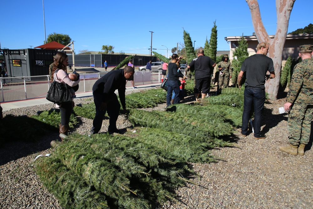 Tree giveaway spreads holiday cheer through MCAS Miramar